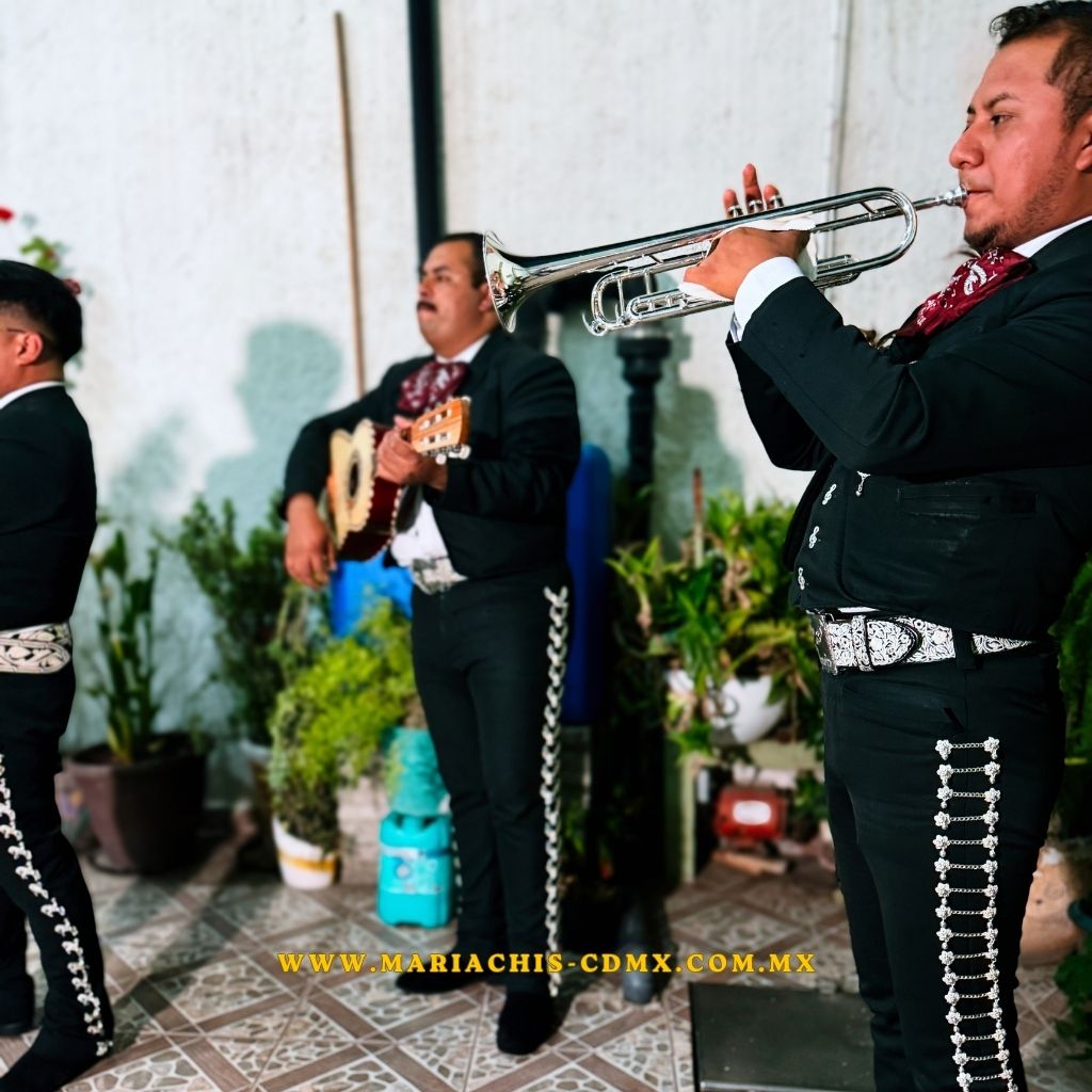 Mariachis para bodas y serenatas en CDMX